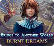 別世界への橋：燃え尽きた夢 